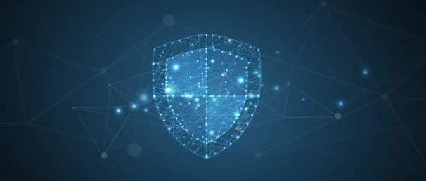 Network Perimiter / Secure Shield