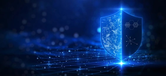 Web and DNS security with a Blue Shield